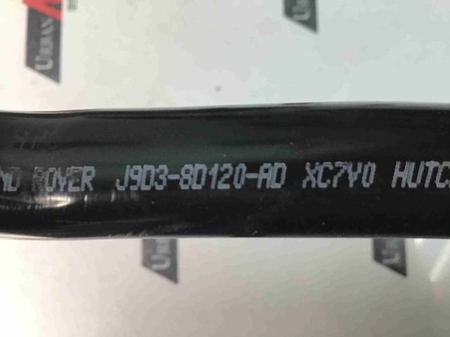 JAGUAR T4K4998 в наличии Ужгород