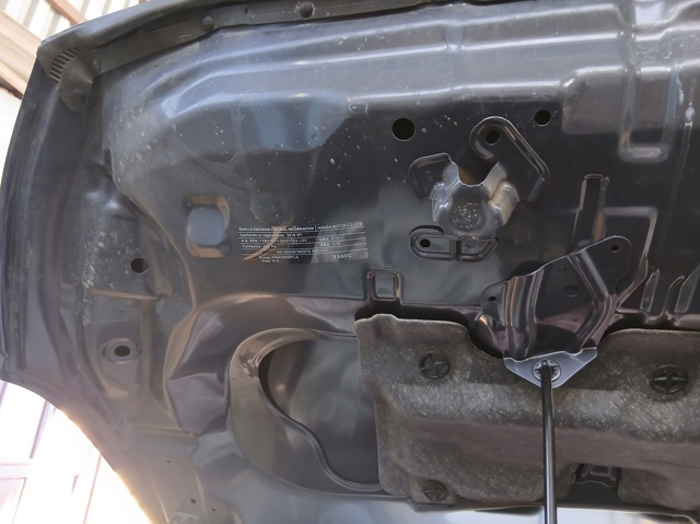 F51005SHMA NISSAN Капот купить в Ужгород