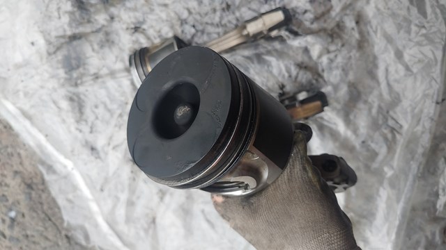 1310127051B0 TOYOTA купить в Украина