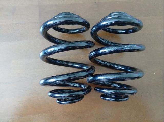 BILSTEIN 38236389 Задняя пружина в наличии Киев