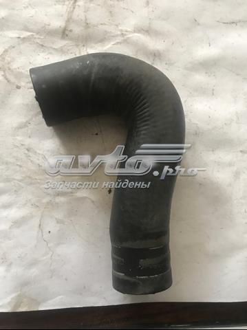 7L0819329A VAG Нижний шлаг радиатора охлаждения купить в Тернополь