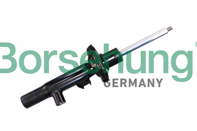 Амортизаторы передние B11178 BORSEHUNG