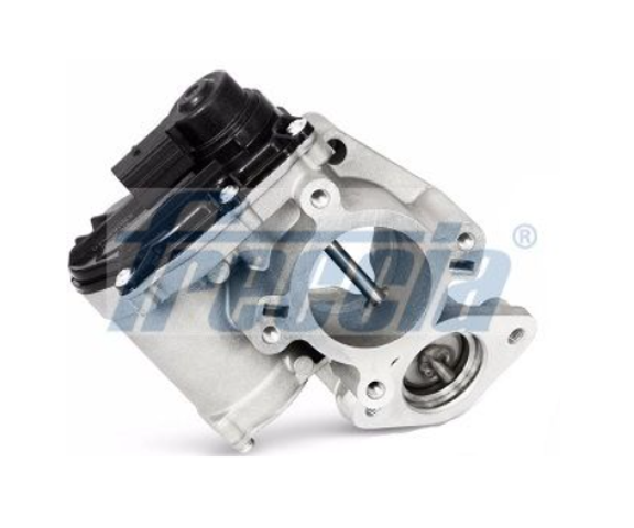 Клапан ЕГР EGR12162 FRECCIA