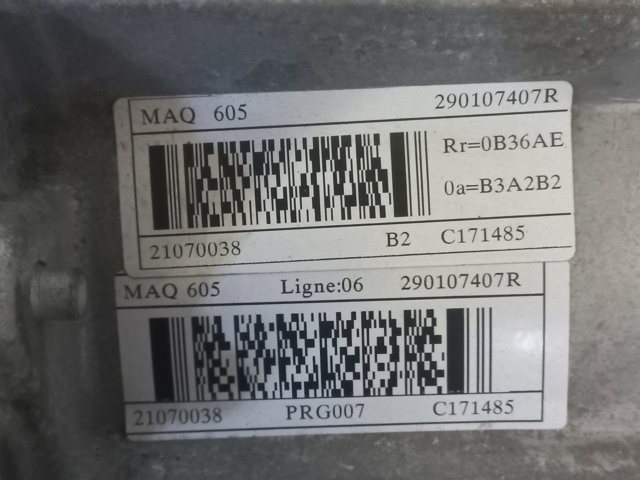 RENAULT 290107407R в наличии Кривой Рог