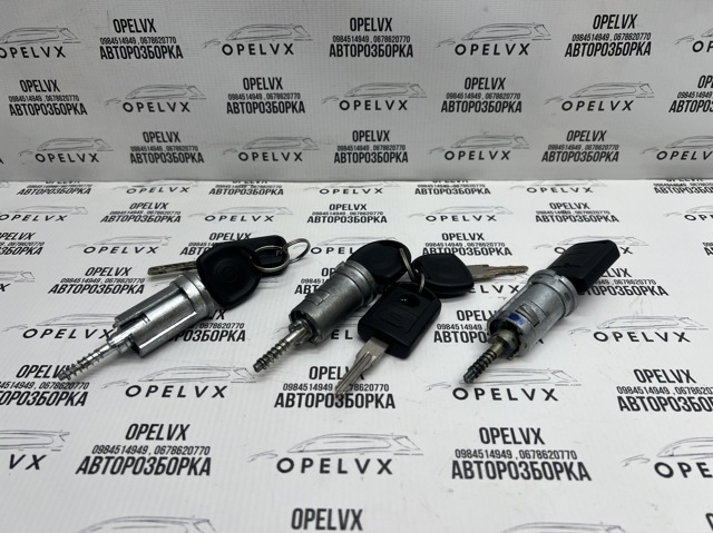 913694 GM Личинка замка зажигания купить в Ужгород