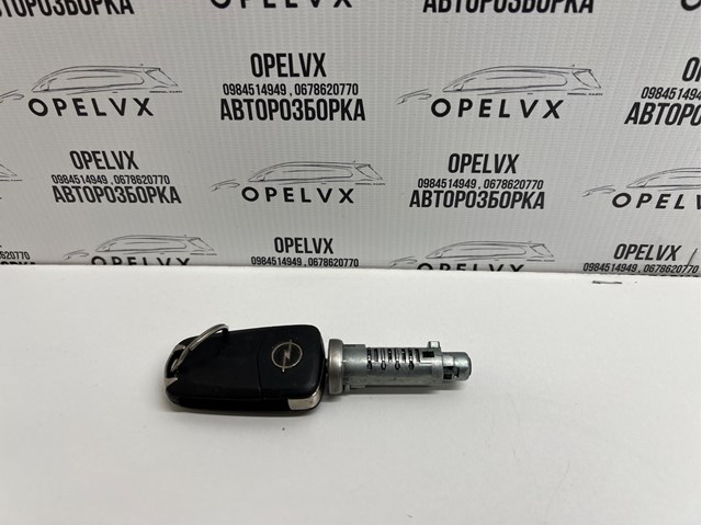 913704 OPEL купить в Житомир