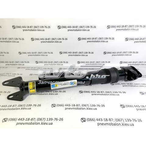 Цилиндр подвески 24166997 BILSTEIN