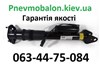 Амортизаторы задние 2513200931 КИТАЙ