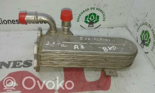 VAG 036131513J Радиатор системы EGR рециркуляции выхлопных газов в наличии Черновцы