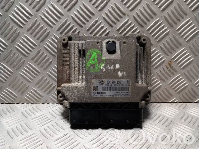 VAG 03C906016 Модуль управления (ЭБУ) двигателем в наличии Ровно