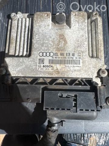 03L906018AG VAG Модуль управления (ЭБУ) двигателем купить в Чернигов