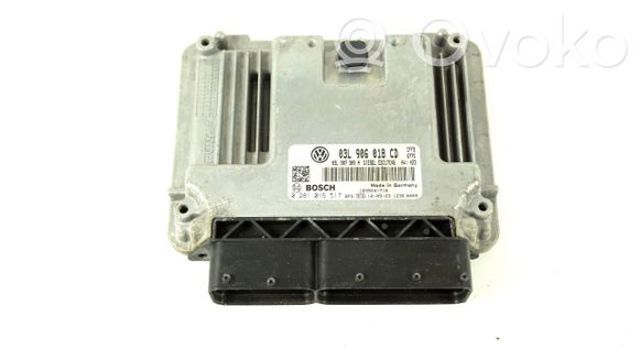 03L906018CD Модуль управления (ЭБУ) двигателем купить Киев