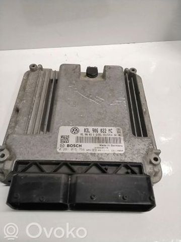 VAG 03L906022MC Модуль управления (ЭБУ) двигателем в наличии Кривой Рог