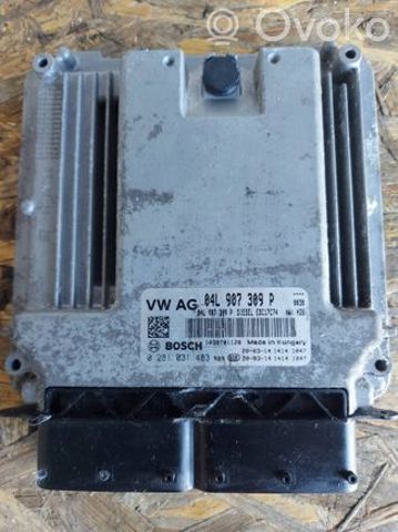 VAG 04L907309P Модуль управления (ЭБУ) двигателем в наличии Киев