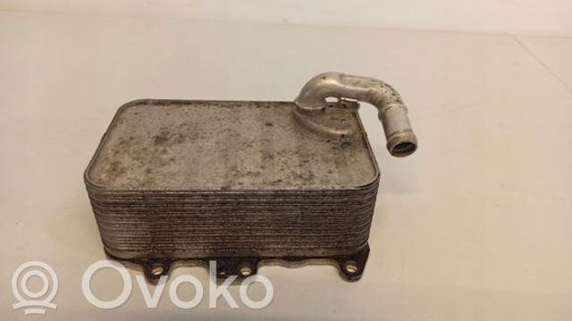 059117015P Радиатор масляный купить Павлоград