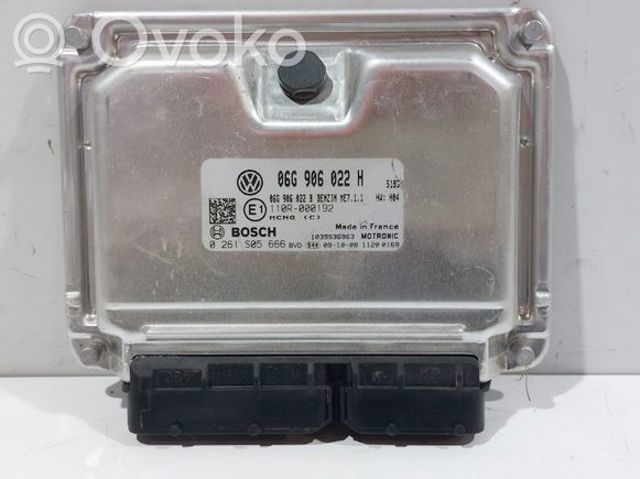 VAG 06G906022B Модуль управления (ЭБУ) двигателем в наличии Ирпень