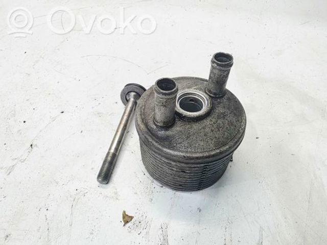 Радиатор охлаждения, АКПП 09A317019 VAG