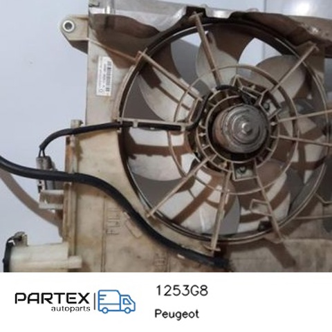 PEUGEOT 1253G8 Электровентилятор охлаждения в наличии Ровно