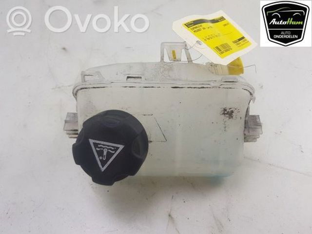 1306J5 PEUGEOT Крышка расширительного бачка купить в Черкассы