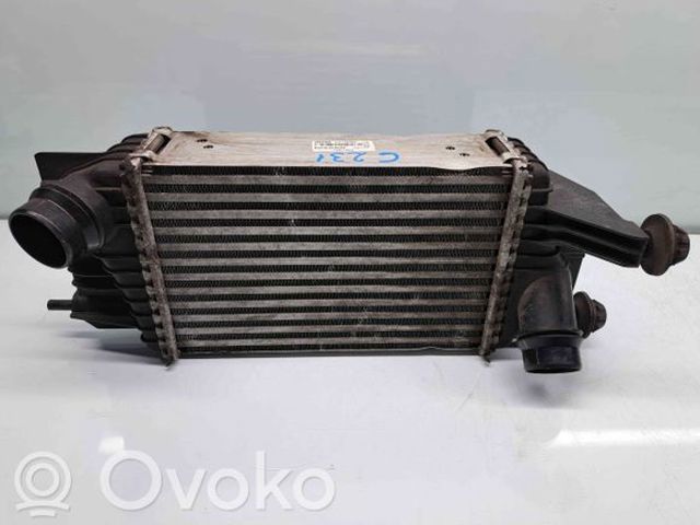 NISSAN 144611KB2A Интеркулер в наличии Ужгород