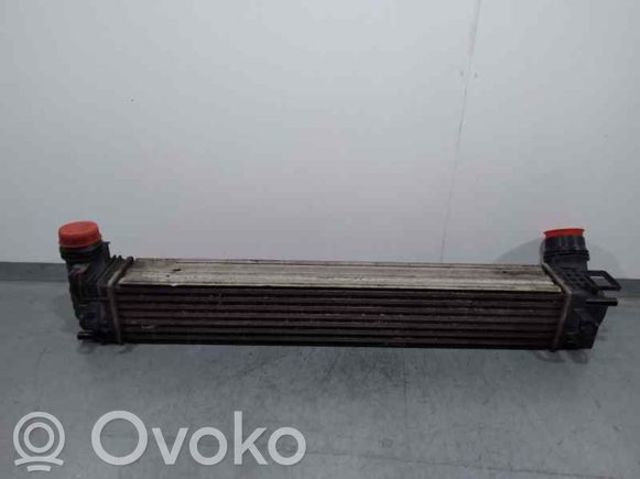 RENAULT 144968673R Интеркулер в наличии Кривой Рог