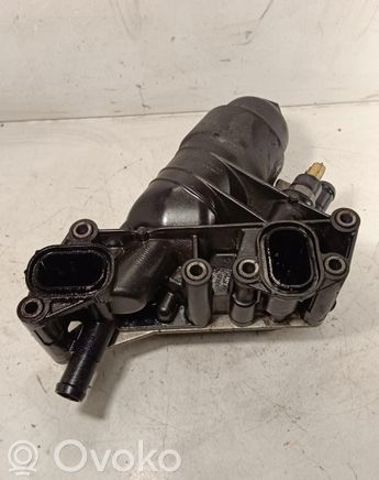 152085948R NISSAN Корпус масляного фильтра купить в Черкассы