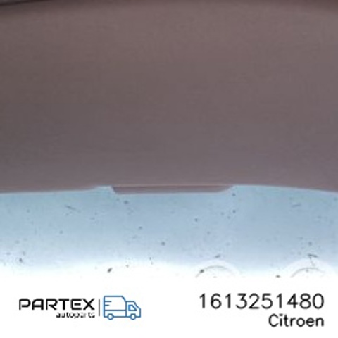 Козырьки 1613251480 PEUGEOT