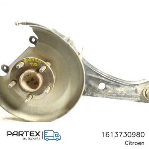 1613730980 PEUGEOT Ступица задняя купить в Каменское