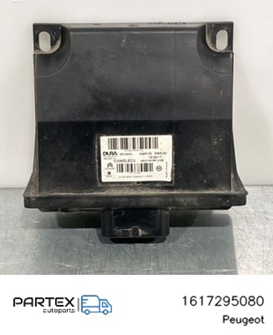1617295080 Peugeot/Citroen