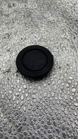 1731325000 HYUNDAI Заглушка днища кузова купить в Сумы