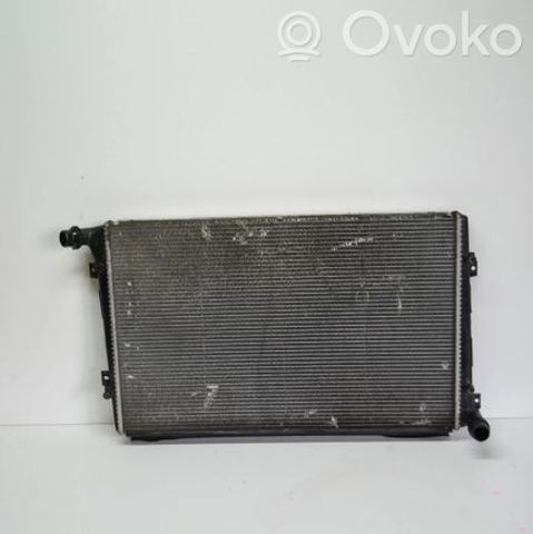 VAG 1K0121251AM Радиатор в наличии Днепр