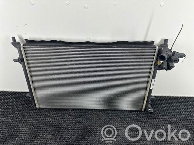 1K0121251E VAG Радиатор купить в Киев