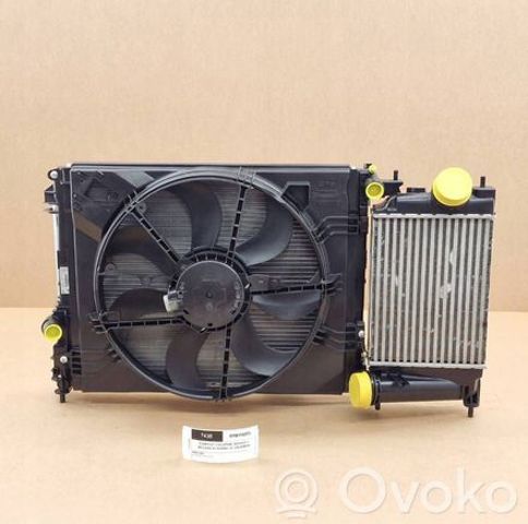RENAULT 214102235R Радиатор в наличии Сумы
