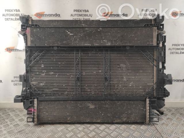 214106419R Радиатор купить Черновцы