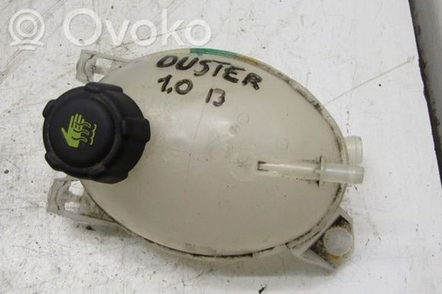 217100680R RENAULT купить в Сумы