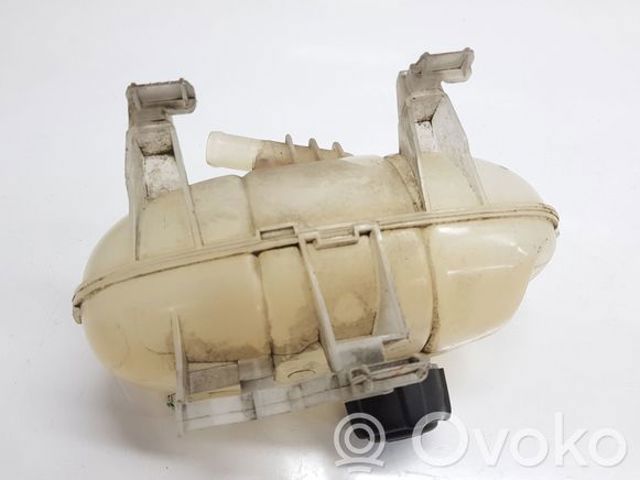 217101893R RENAULT купить в Днепр