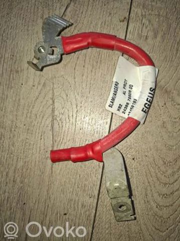 RENAULT 243867980R в наличии Ирпень