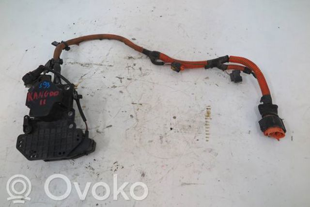 243916306R купить Киев