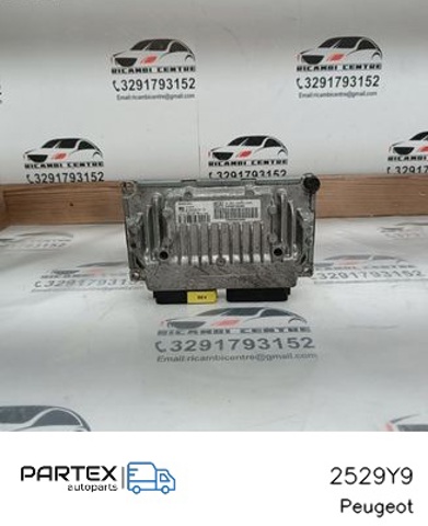 PEUGEOT 2529Y9 в наличии Павлоград