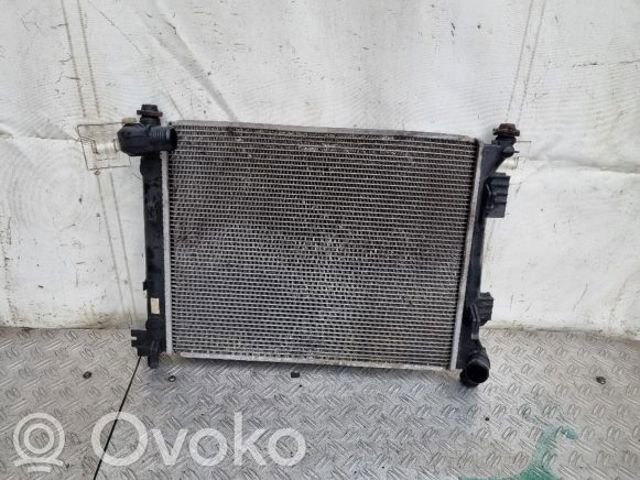 253101RXXX HYUNDAI Радиатор охлаждения двигателя купить в Тернополь