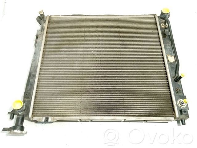 253102W971 HYUNDAI Радиатор купить в Украина
