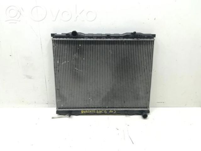 HYUNDAI 253103E000 Радиатор в наличии Ужгород