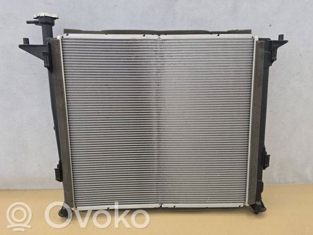 25310S1120 HYUNDAI Радиатор охлаждения двигателя купить в Винница