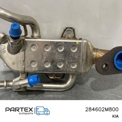 284602M800 HYUNDAI Радиатор системы EGR купить в Львов
