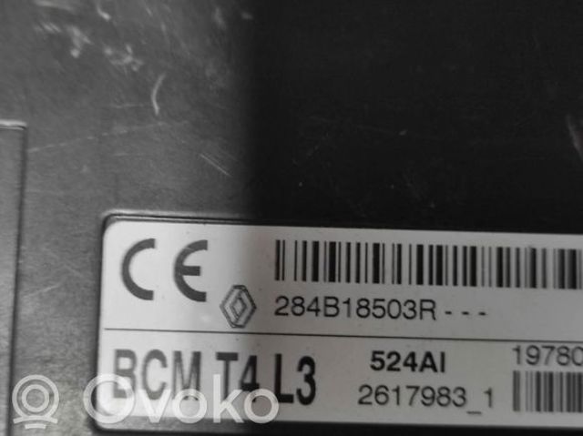 RENAULT 284B18503R в наличии Житомир