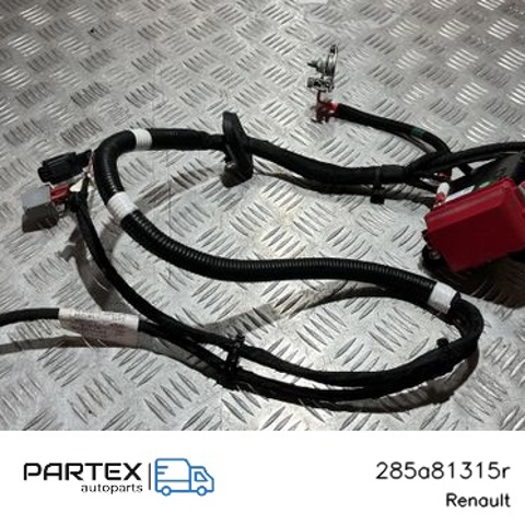 RENAULT 285A81315R в наличии Запорожье