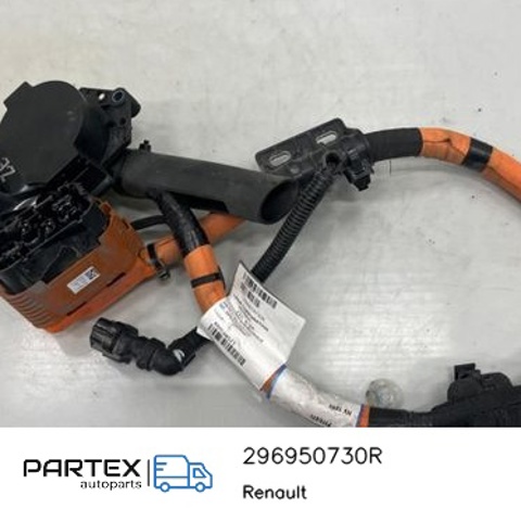 RENAULT 296950730R в наличии Хмельницкий
