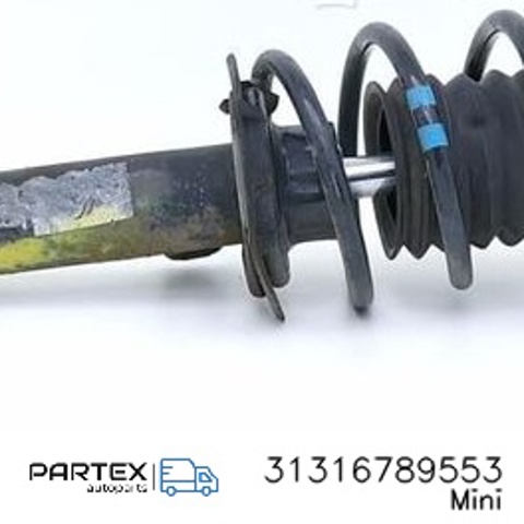 31316789553 BMW Амортизатор передний левый купить в Одесса