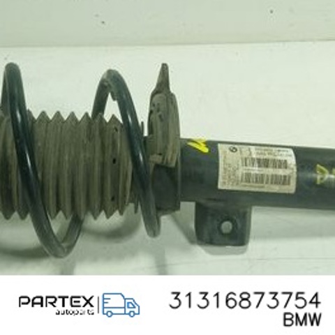 31316873754 BMW Амортизатор передний купить в Николаев