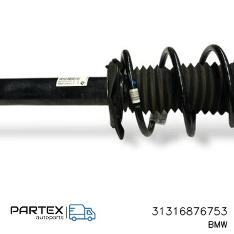 BMW 31316876753 Амортизатор передний в наличии Черновцы
